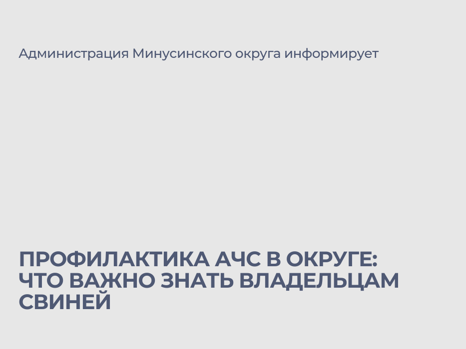 Профилактика АЧС в Минусинском округе: что важно знать владельцам свиней.