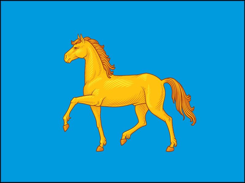 Флаг города Минусинска.